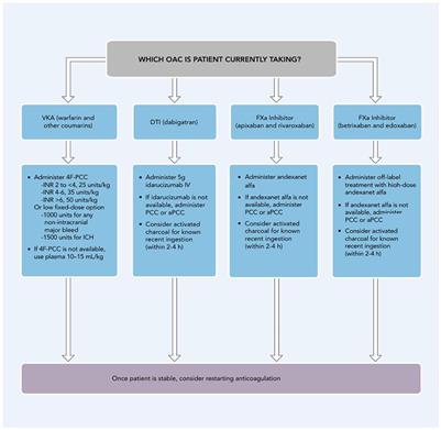 Atrial fibrillation: Primary prevention, secondary prevention, and prevention of thromboembolic complications: Part 2